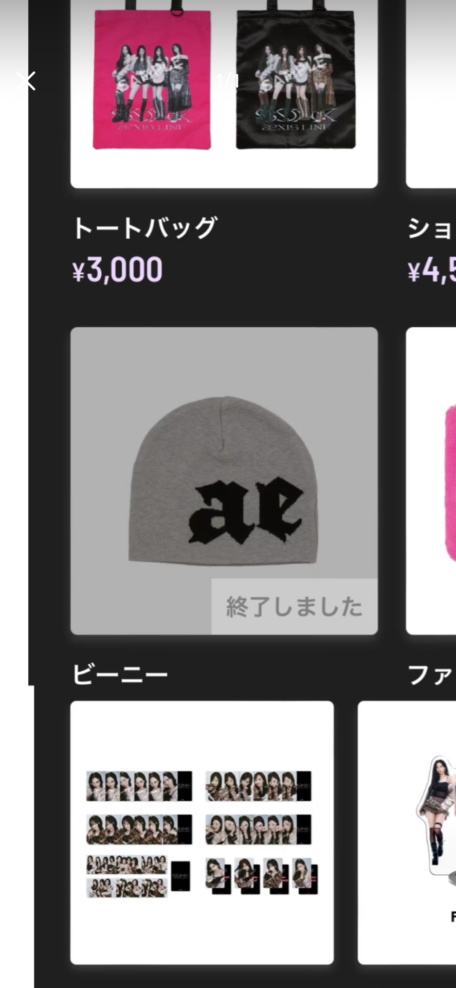 【全新現貨】日本場毛帽