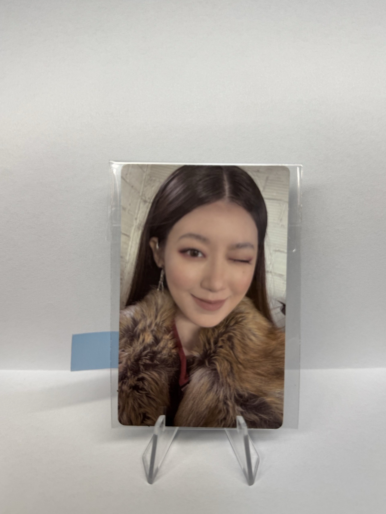 wvs 1.0簽售卡 we are