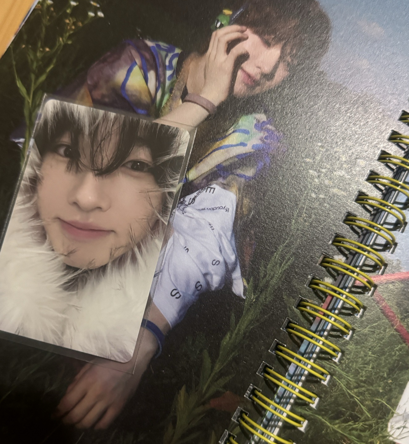 Nct wish sakuya miracle（含空專）