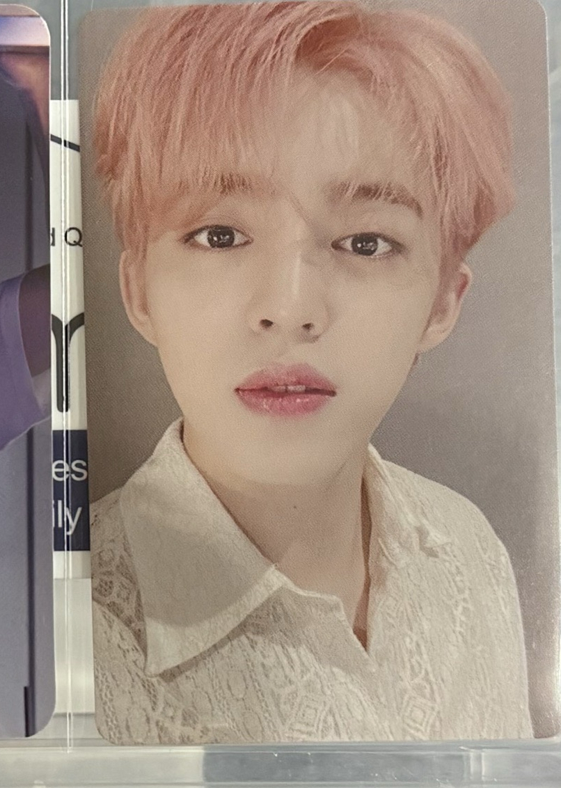 粉髮哲（本體500綁200）