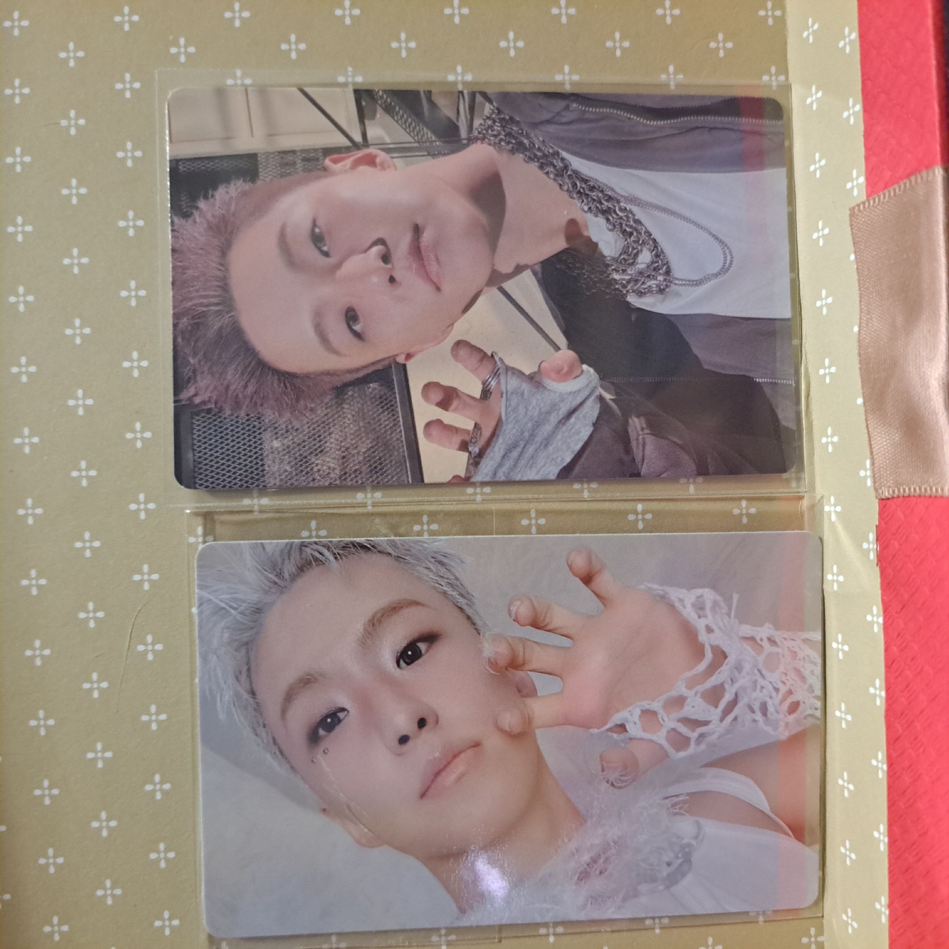 Hoshi 正五 wvs特典卡