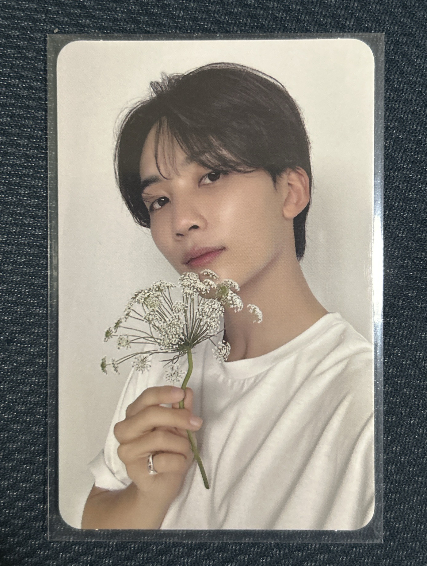 精選專 專輯卡 ｜CARAT ver. 淨漢