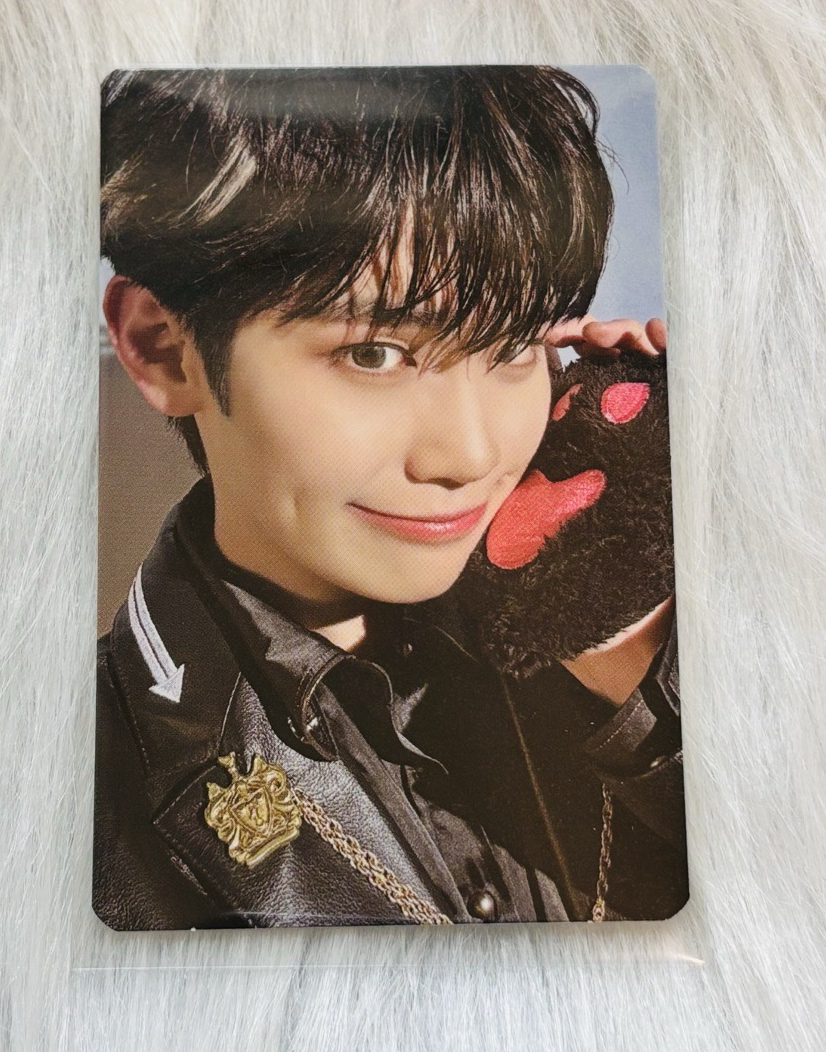 ZB1 迷三快閃隨機卡 貓掌來