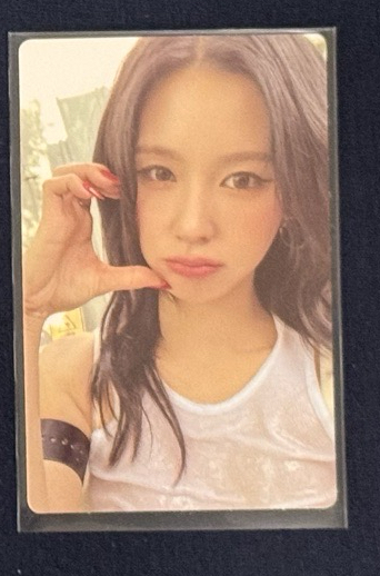 迷七 wind版 專卡 面