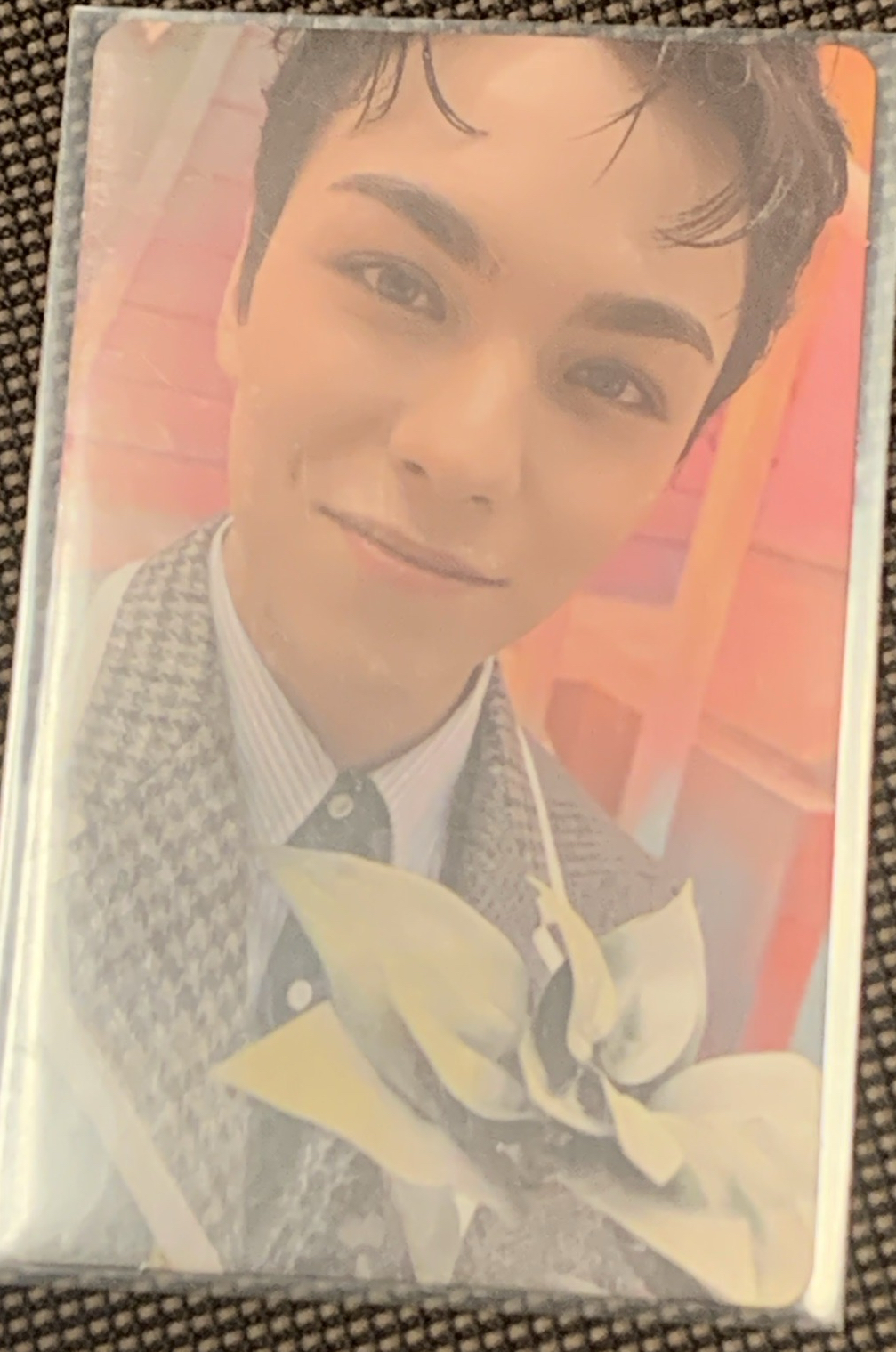 vernon