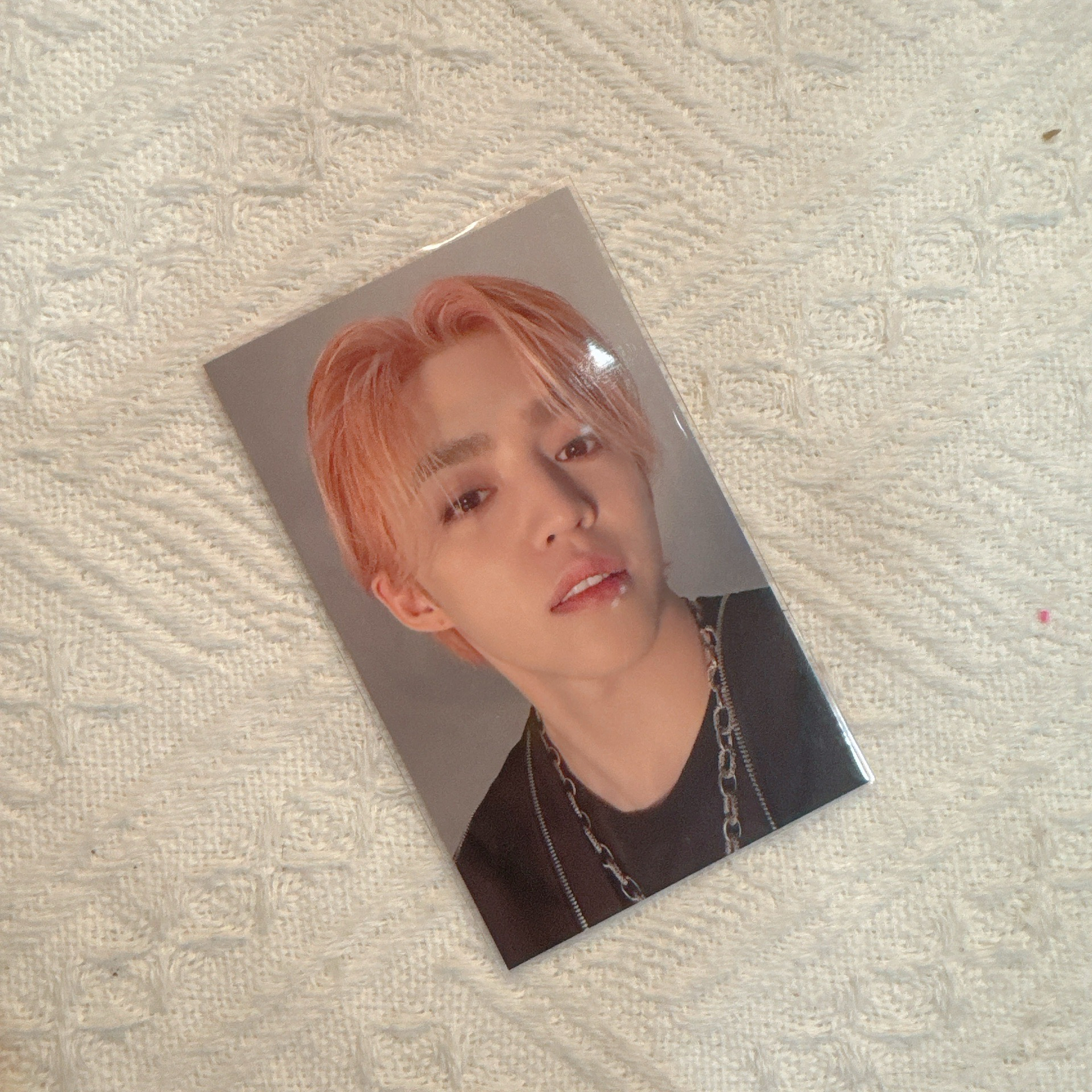 迷12 TSU粉髮哲特典