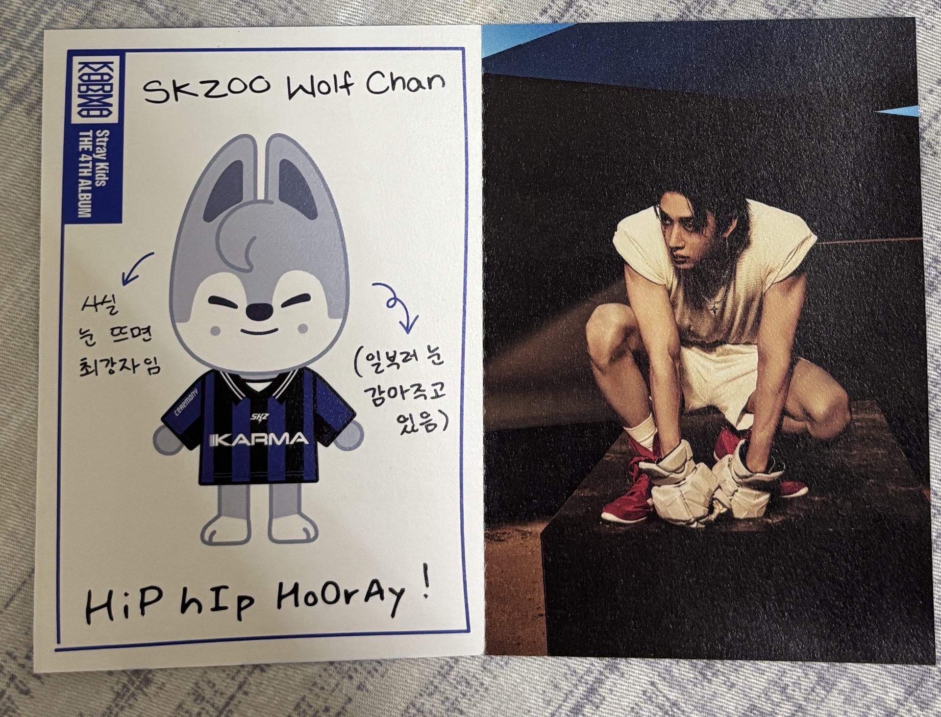 skzoo電子專 娃身分證-燦