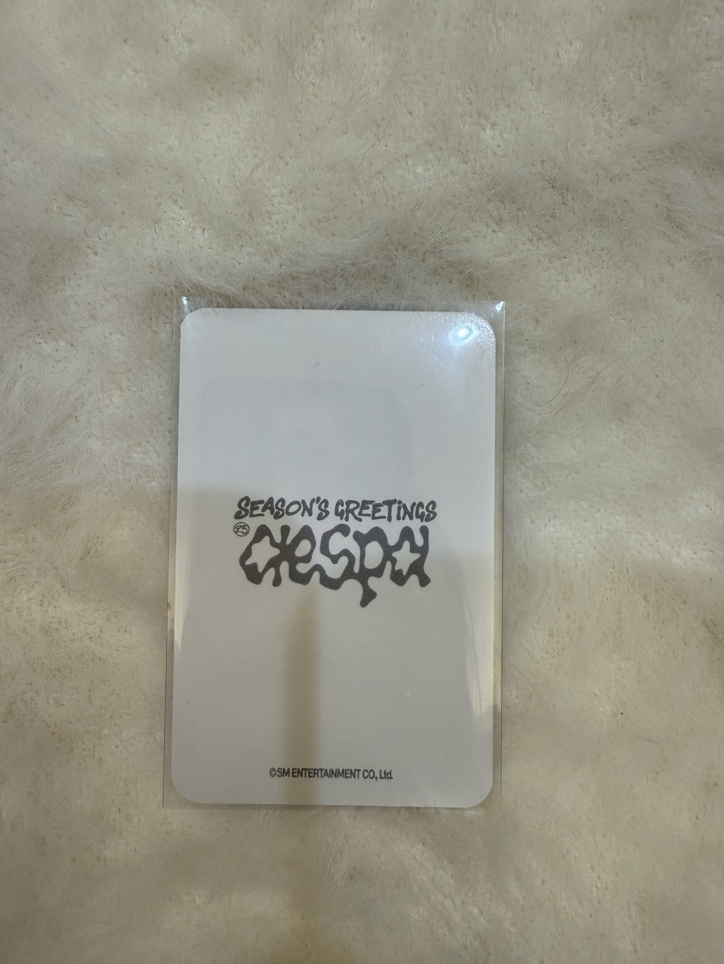 aespa 年曆後續周邊卡 照片組冬