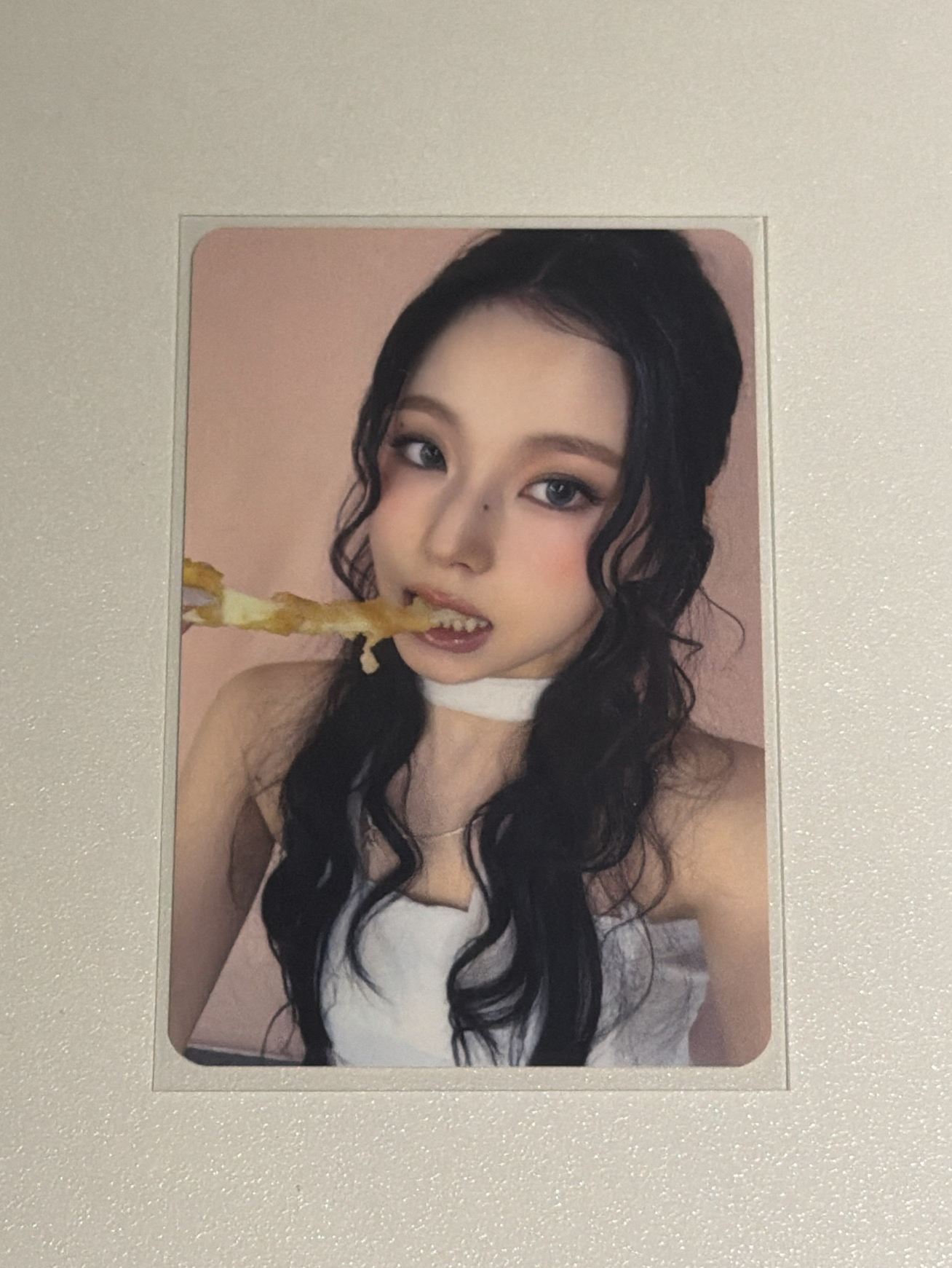 MS 起司條圭 中背