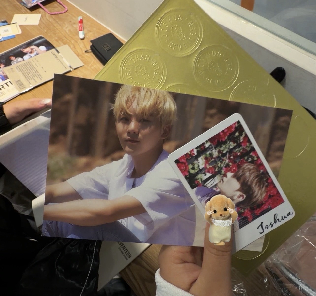 【可直拍】迷四全專花牆刷