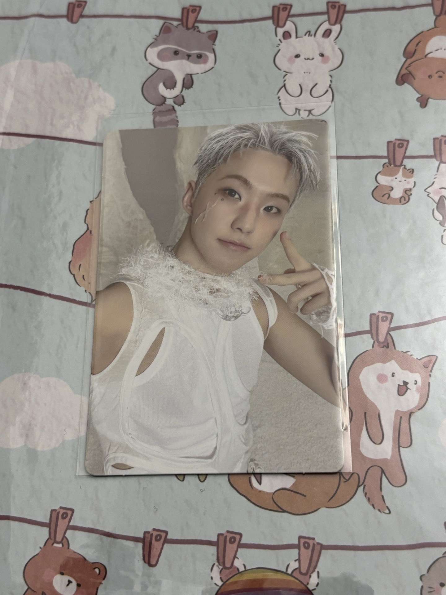 正五 new myself ver.專卡 榮