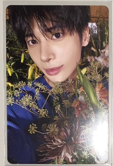 迷七 電子專卡1