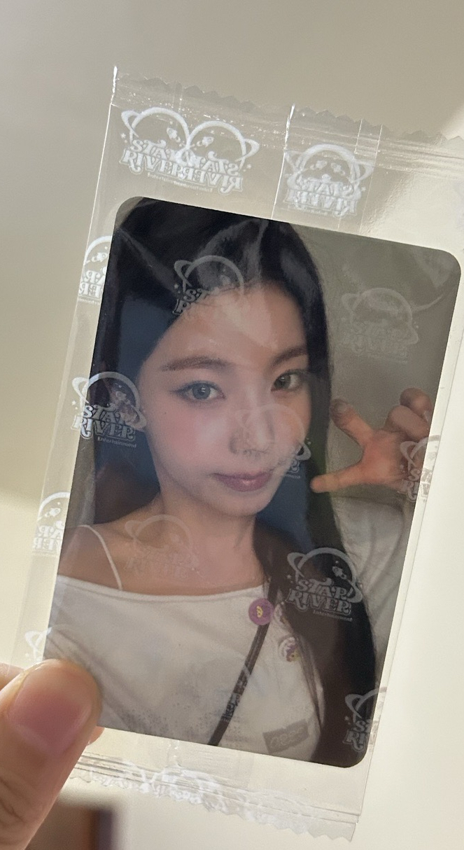 星河一套 無薛🐬 （4個🐬）