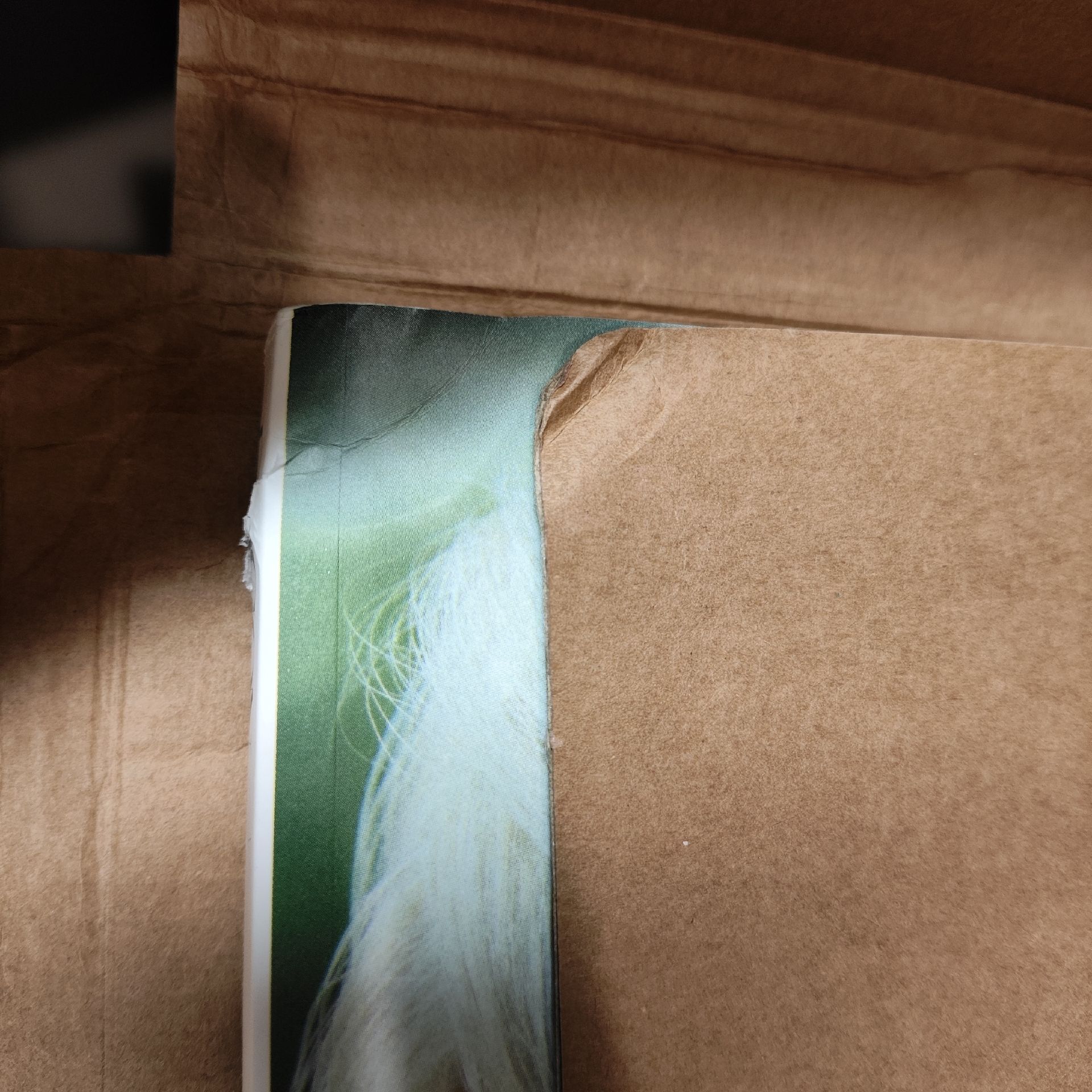 售D社Sion單寫真