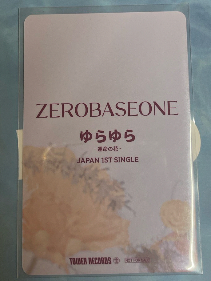 小兔子在花花的世界🌼