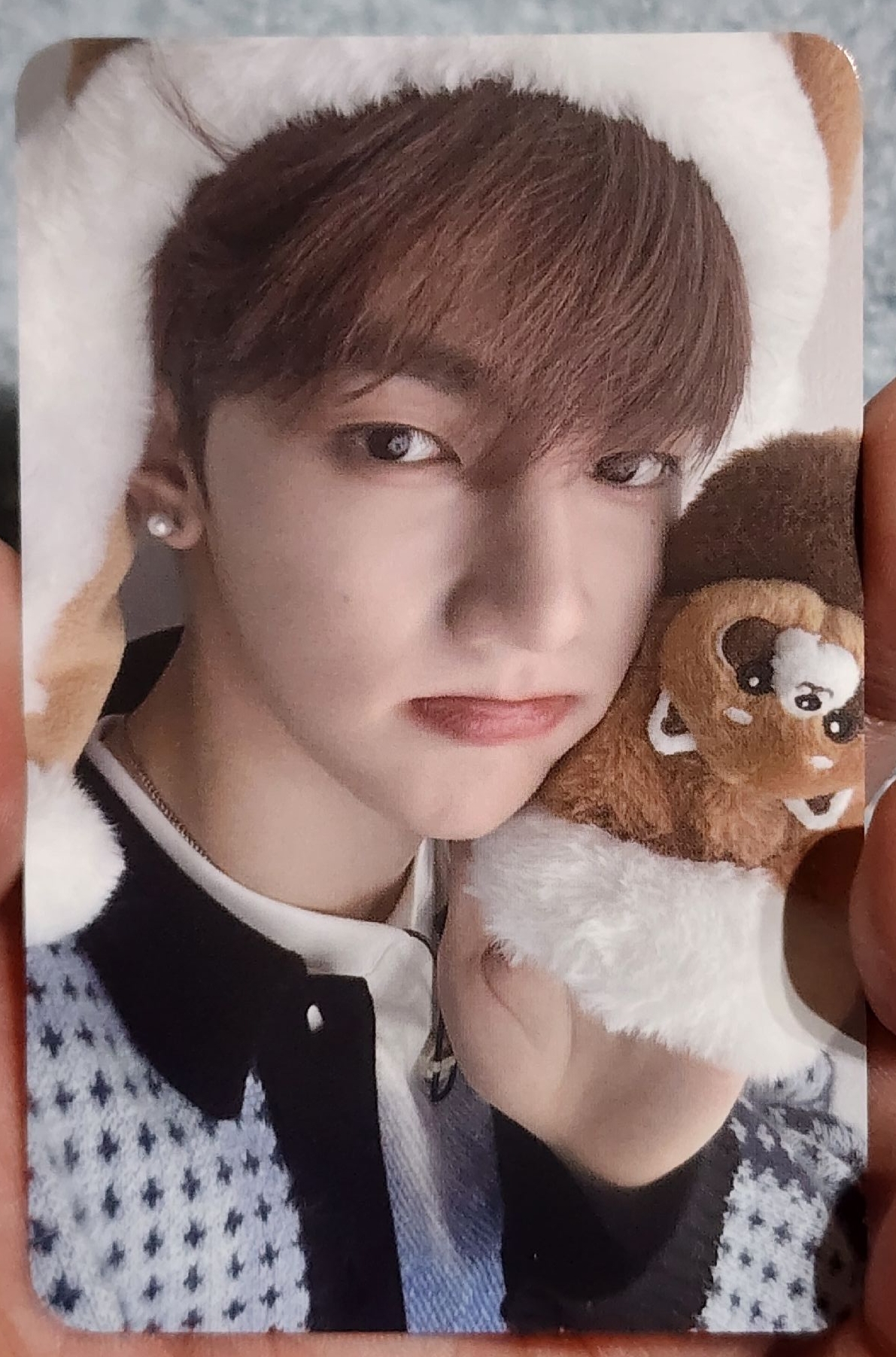 迷三 k4 特典卡 小熊貓 ver. - 昊