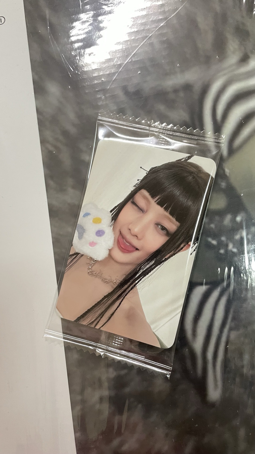 [現貨］K4預售 貓掌妮 簽名卡背