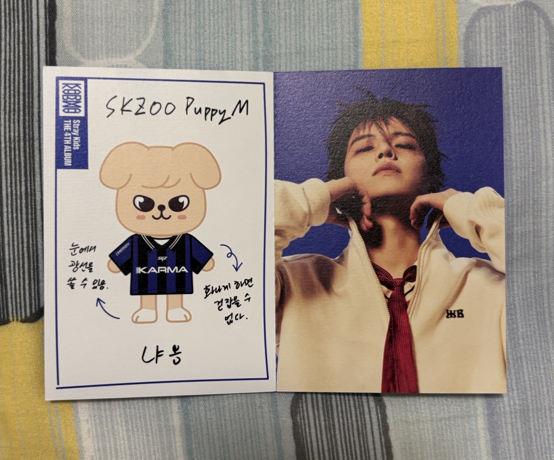 KARMA 電子專身分證 玟