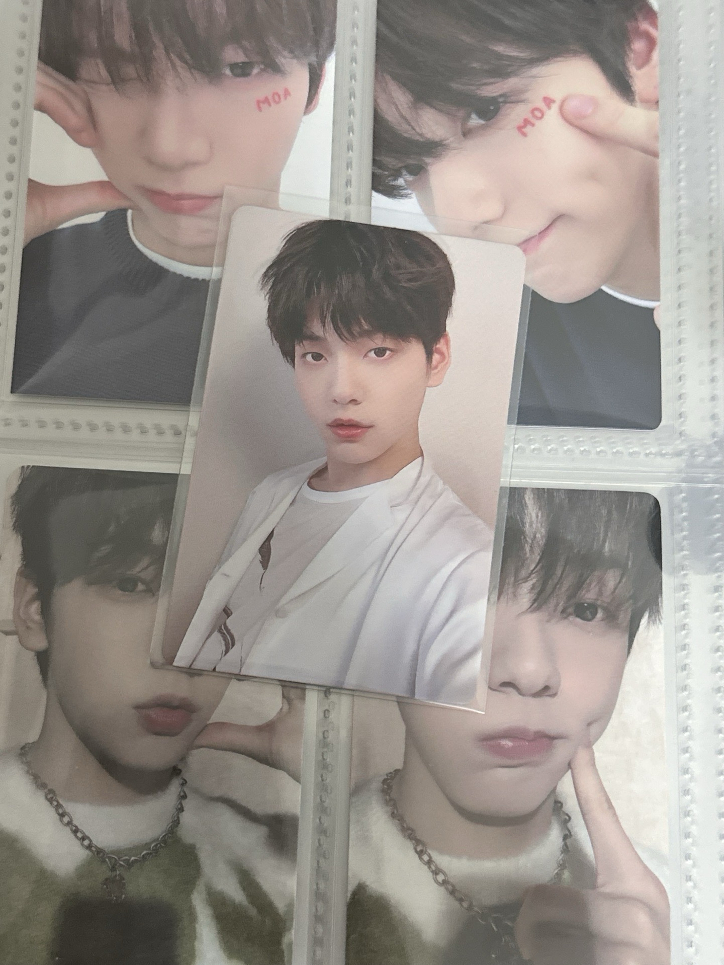 打歌卡 兔子筆 中背