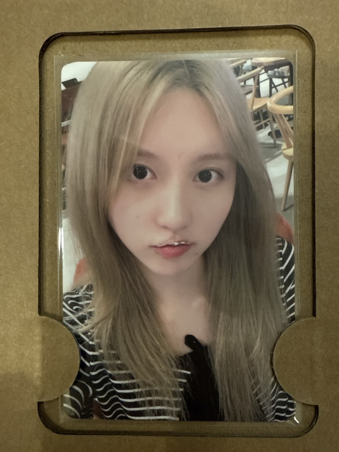 迷四 IVE SECRET 京東特典 秋 GAEUL 金秋天