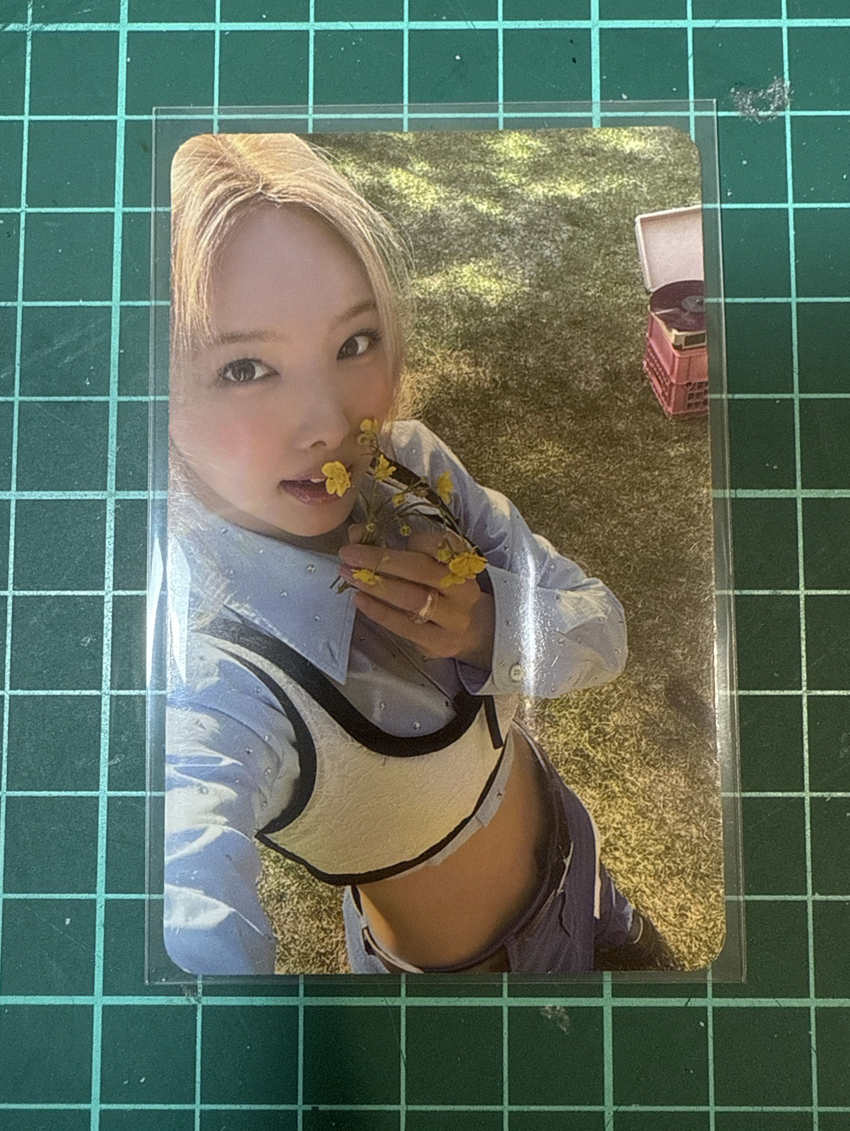拿花娜璉