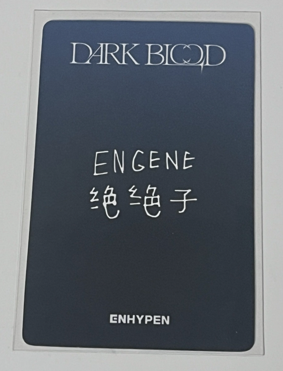 yzy1.0星 中文卡背