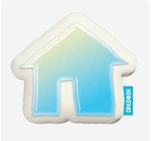 bnd 一期會員禮小抱枕