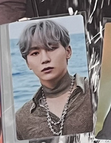 Wvs JAPAN 人魚寛人魚碩