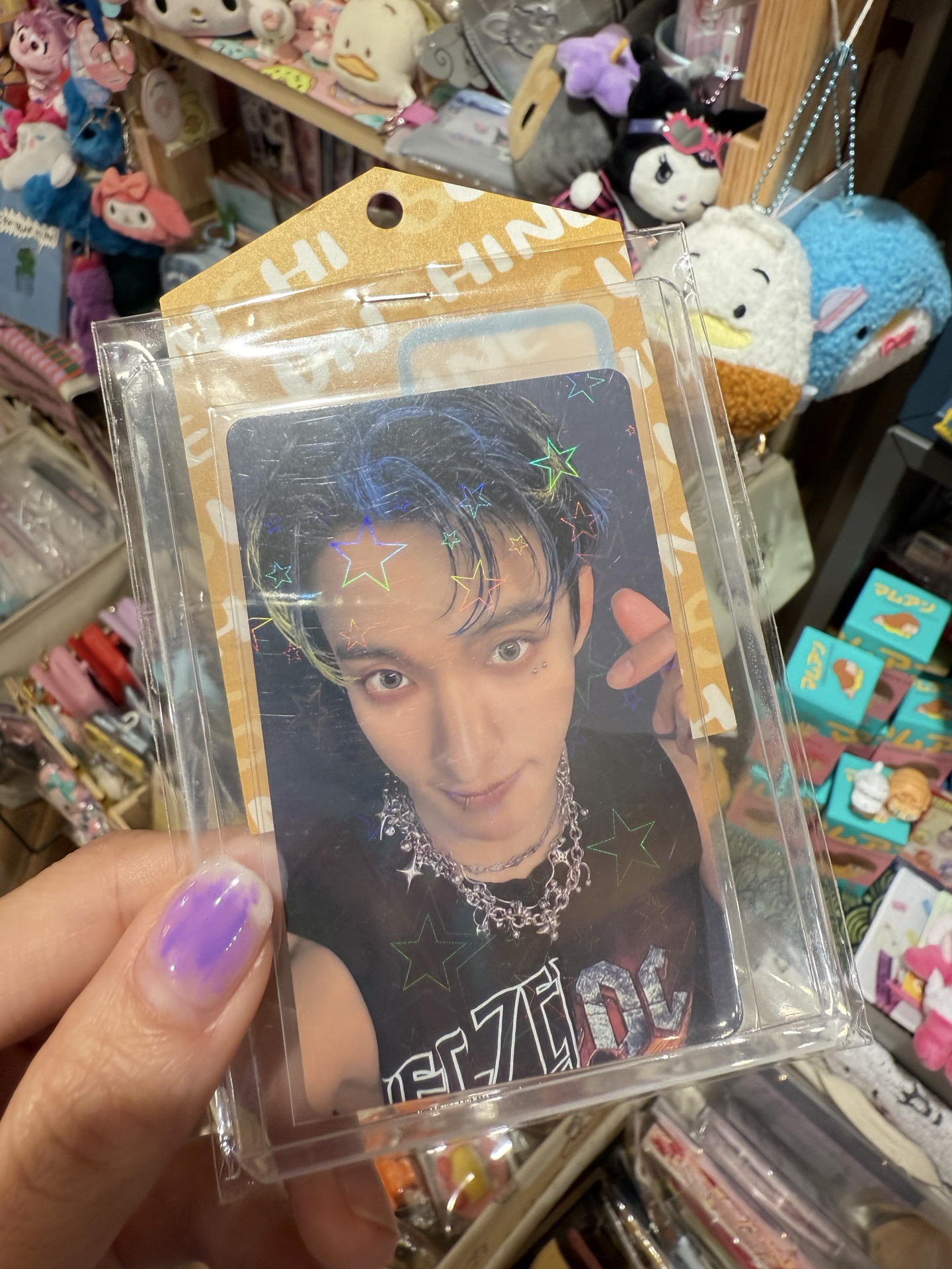 正規五 wvs jp 抽選卡