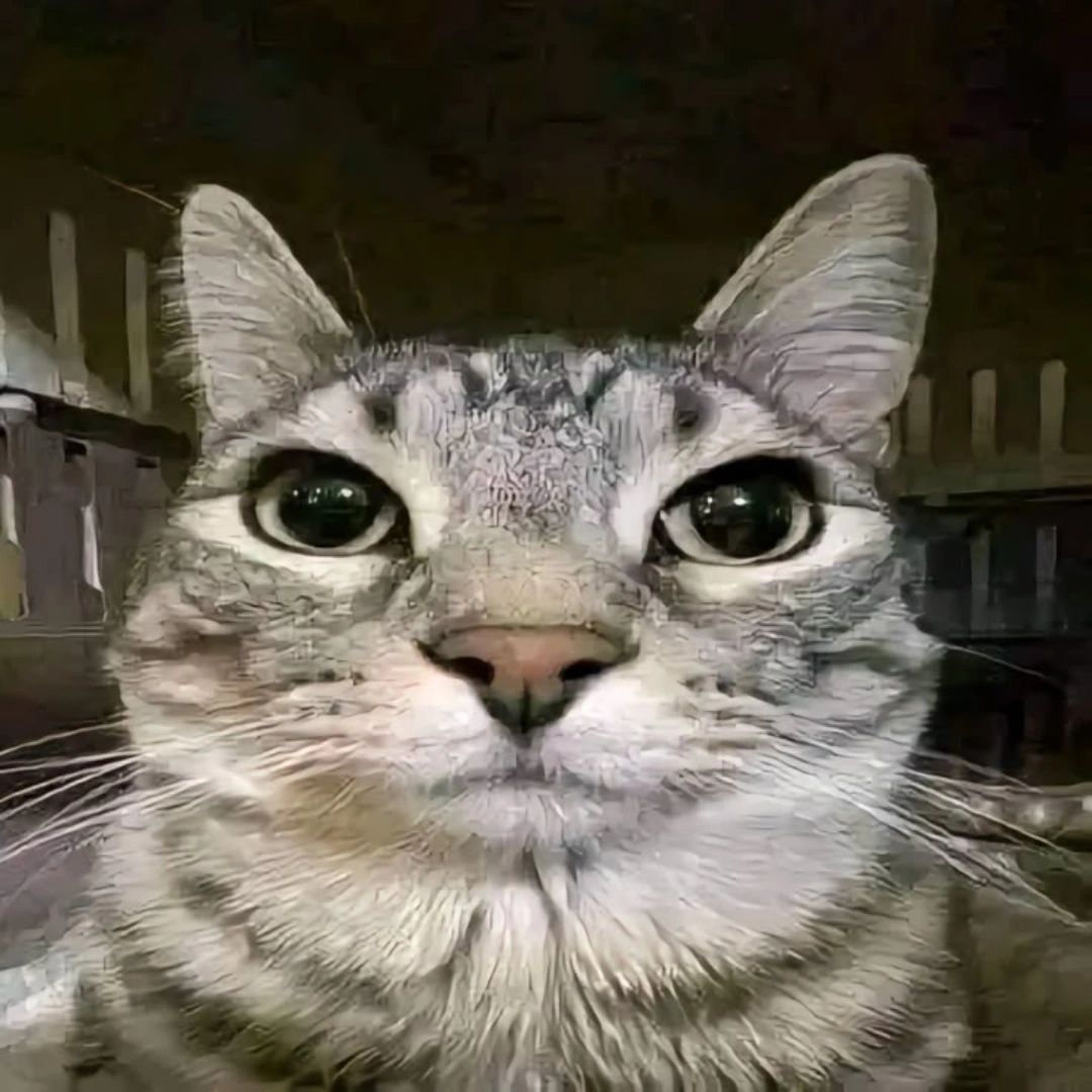 [專人賣場] 羽官娃綁kkt+stg版送一專卡