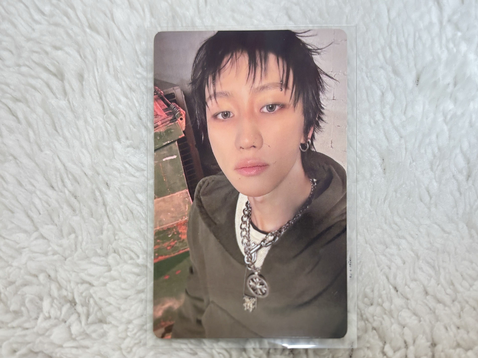 正五 WVS PB預售 特典卡 八🐸