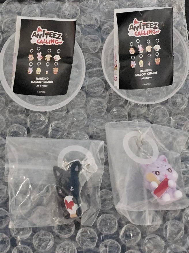 扭蛋隨機吊飾（拼字正確版）