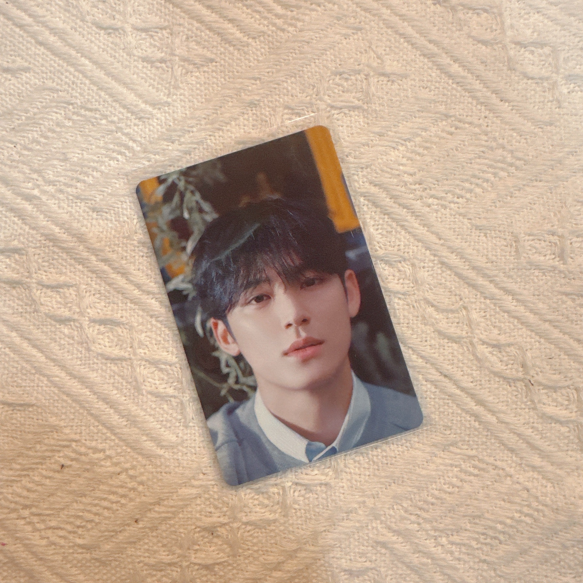 消費期限 B盤奎 單卡