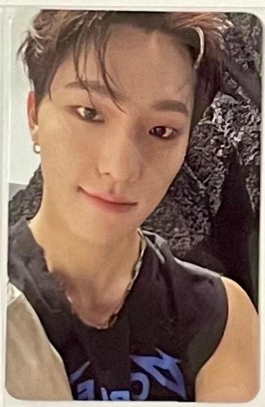 DINO｜韓專卡 ｜Mini7/Mini12/正四/正四續/精選專