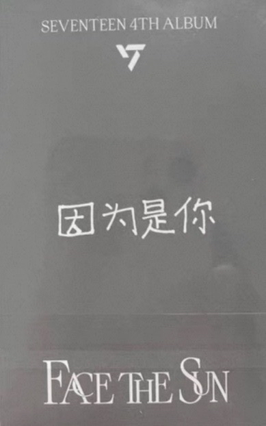 🦊圓 正規四yzy 中文卡背