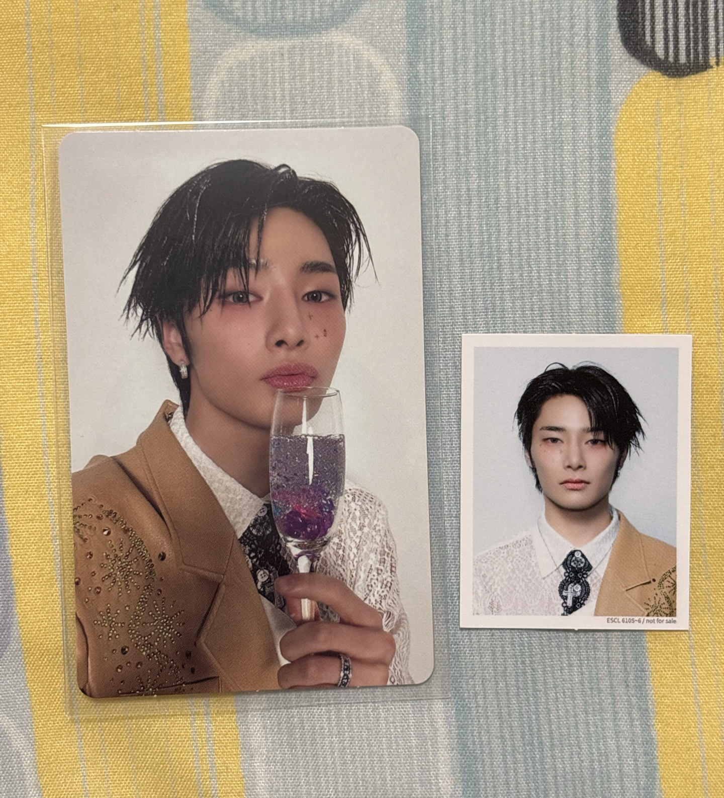 Hollow 專輯小卡+證件照 寅