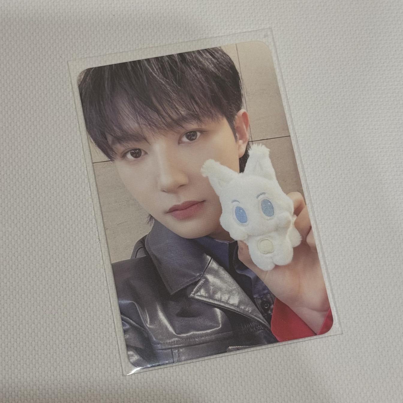 NCT DREAM 仁俊｜DREAM( )SCAPE 周邊卡 娃娃卡