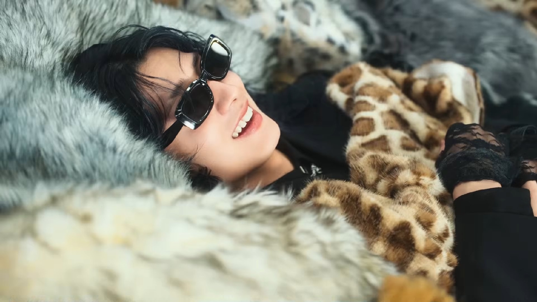 外星刺蝟狗皇帝