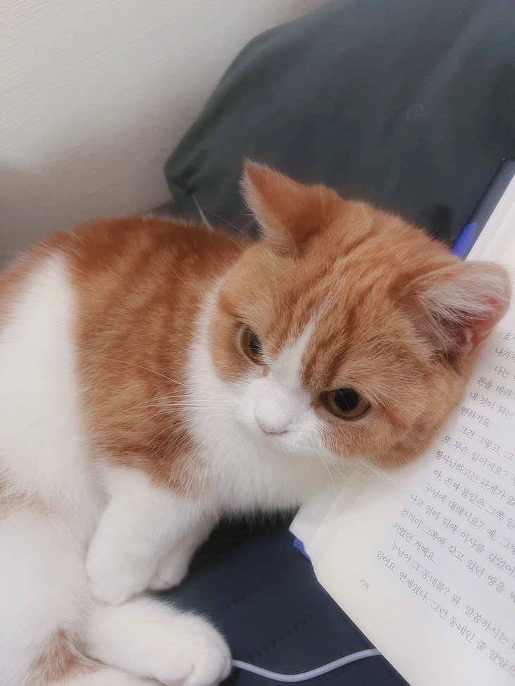 🍊⌯⦁⩊⦁⌯ಣ