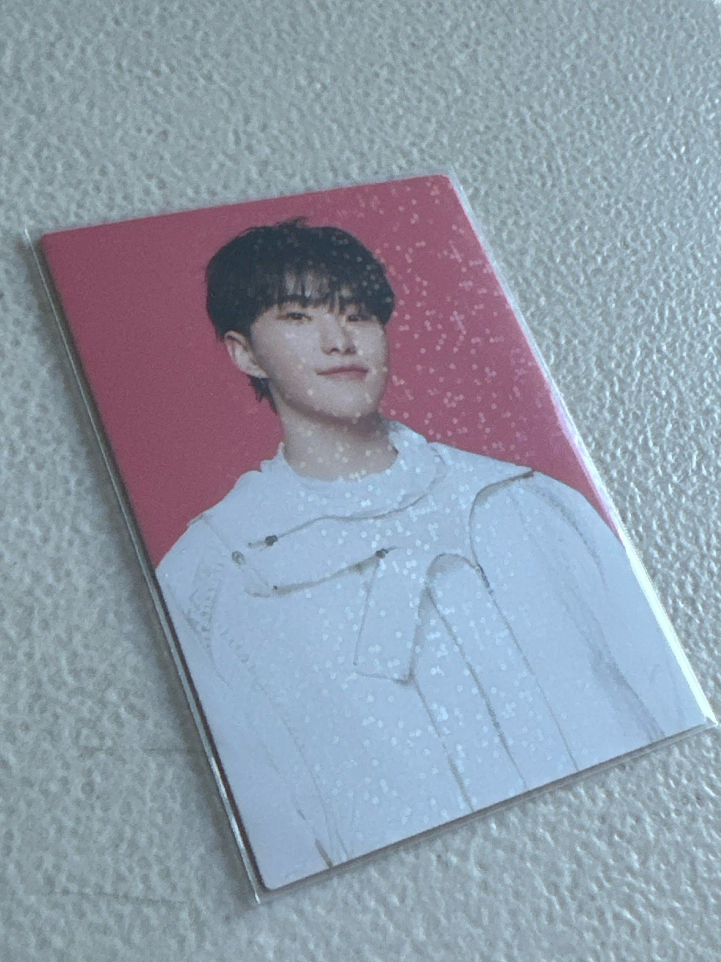 💎follow again to japan卡包卡-榮57（閃卡）