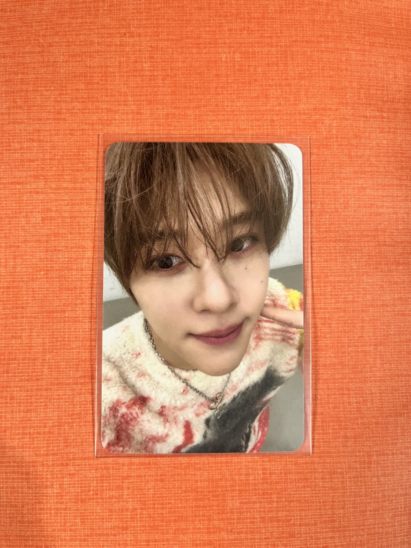 NCT WISH poppop sion AM特典卡