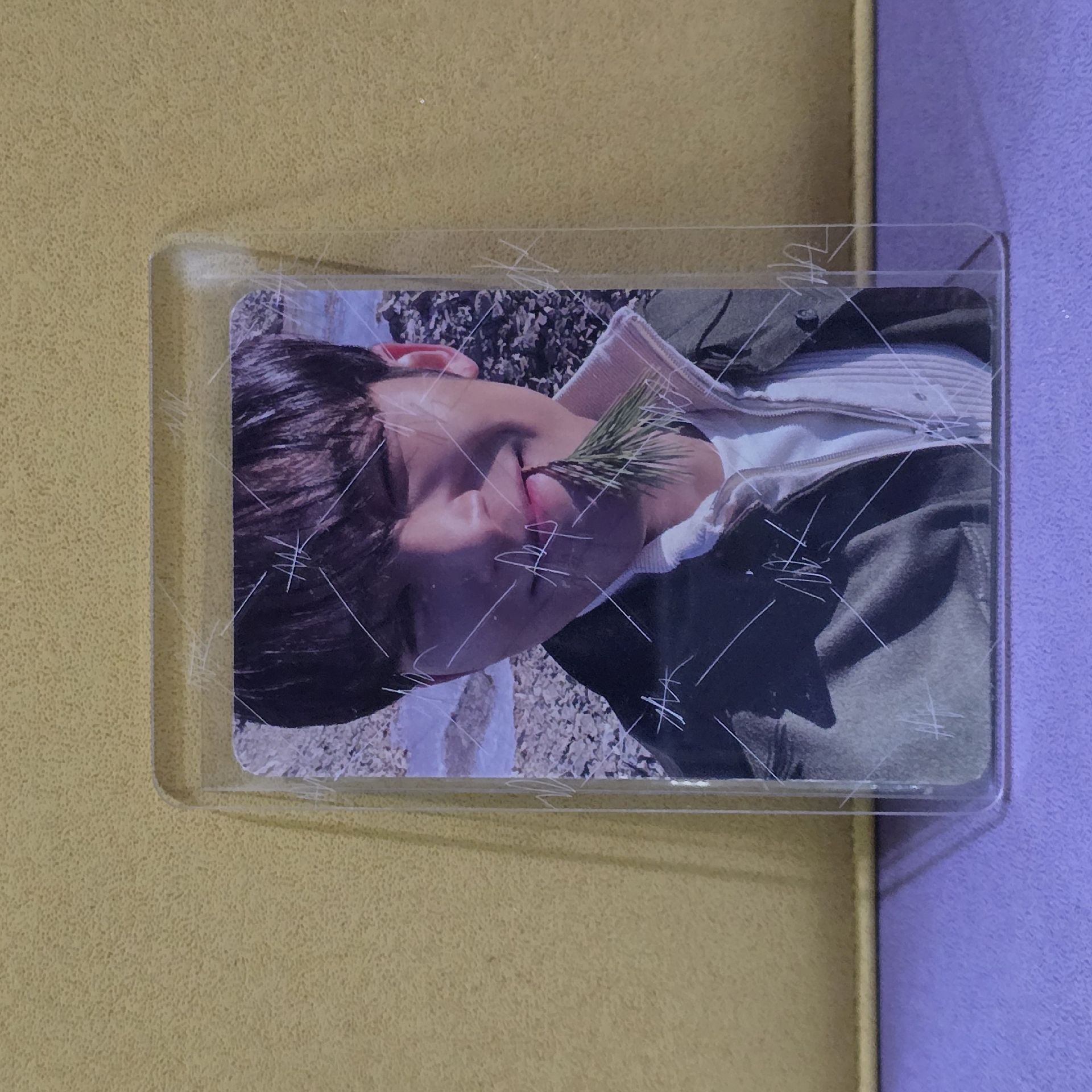 正四專卡四張不拆  咬草奎 頂草奎 水彩奎