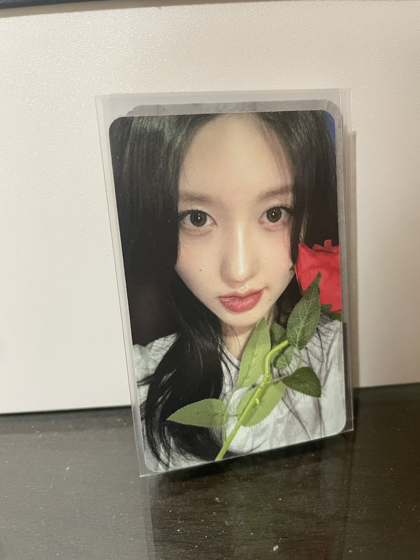 玫瑰花秋