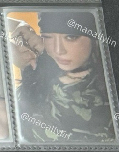 whiplash  smini 專卡寧