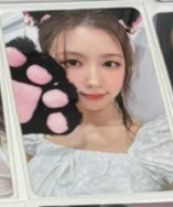 迷八貓抓卡（多帶🌟1張）