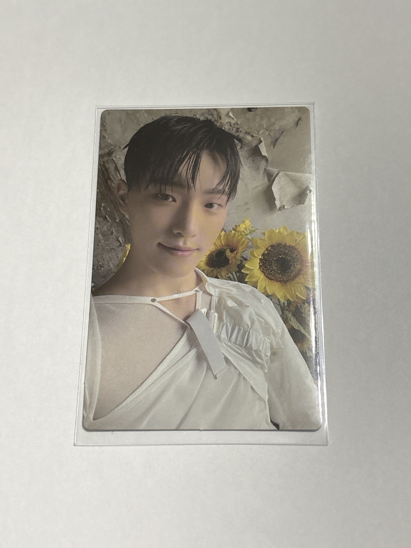 DINO 九期會員禮小卡