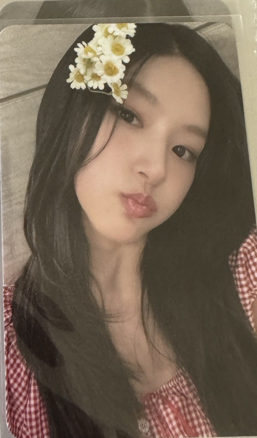 224 台北 簽售卡 雛菊