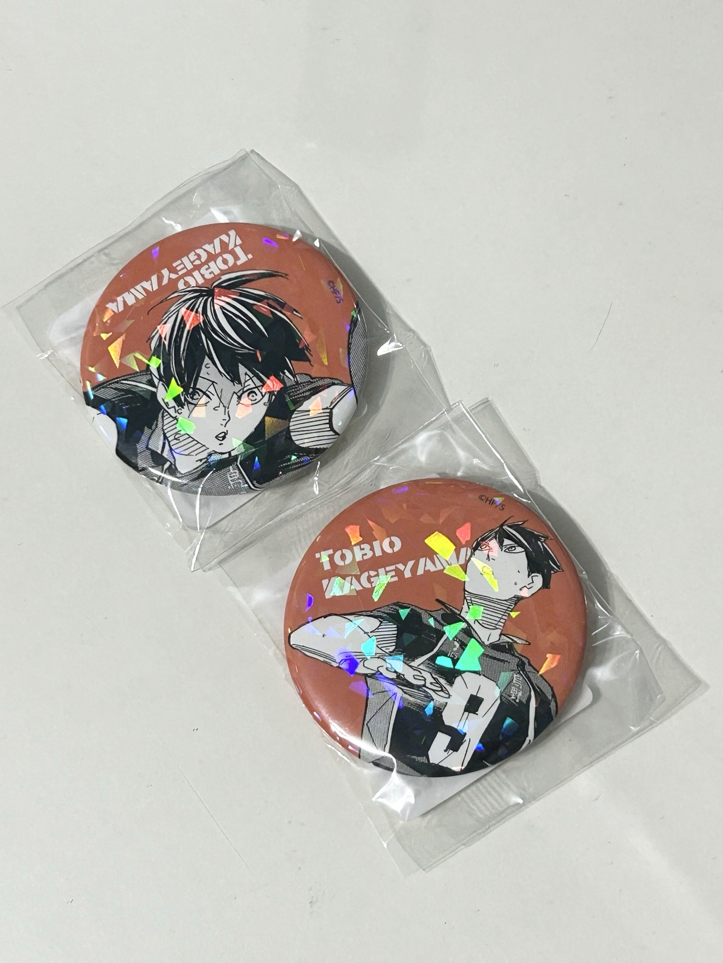 JSC限定 垃圾場決戰受注閃徽