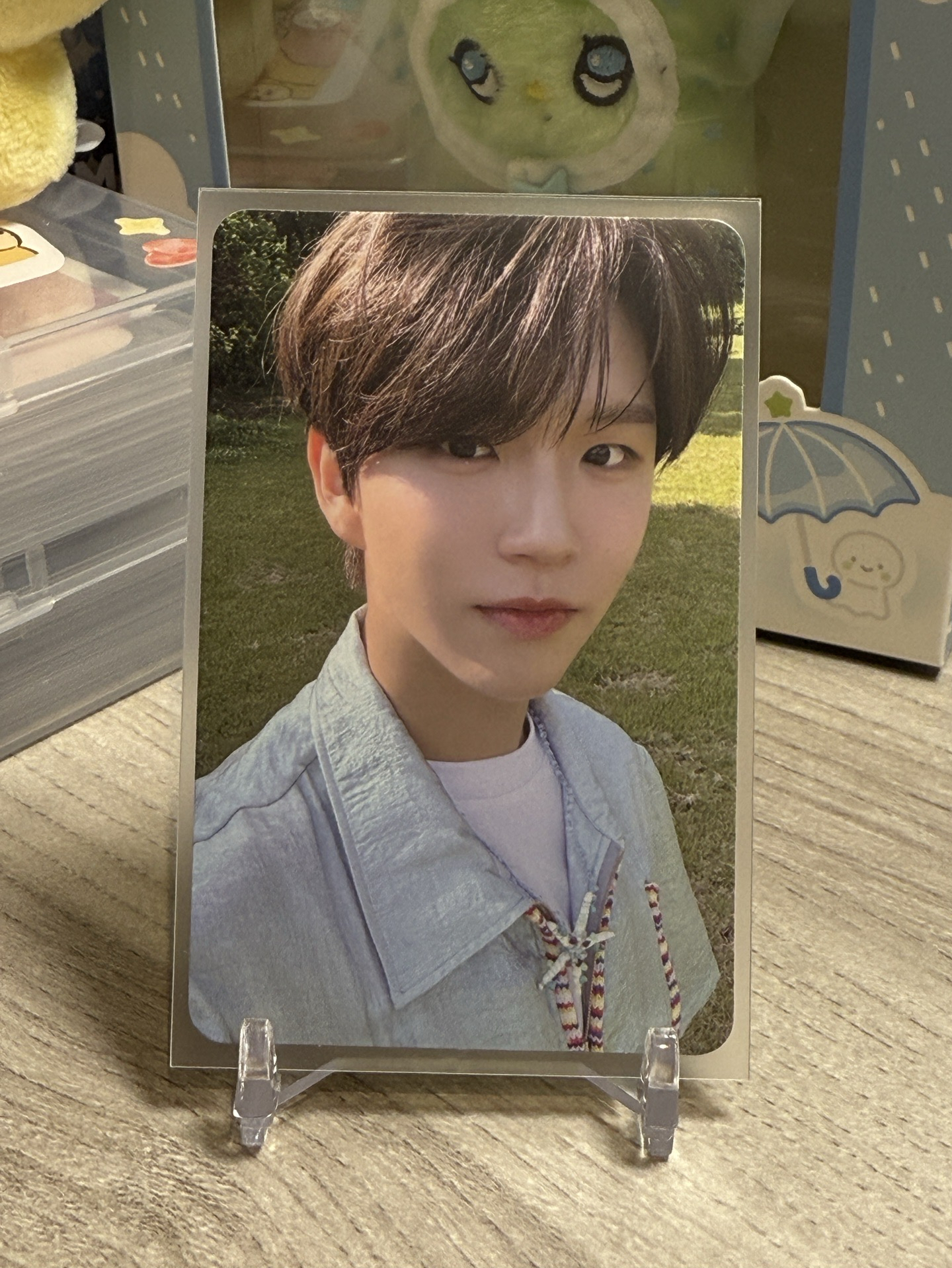 NCT WISH 歌鳥小樹🌳