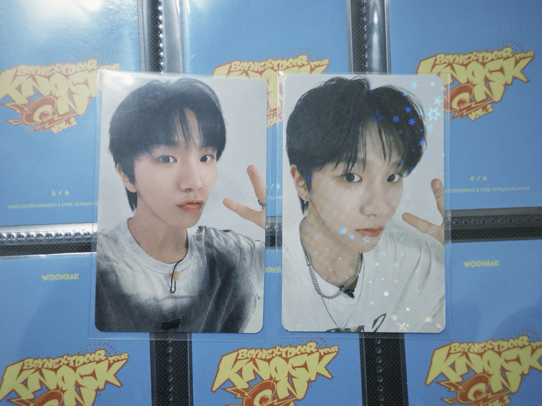 19.99 日咖pb yzy1.0 金雲鶴